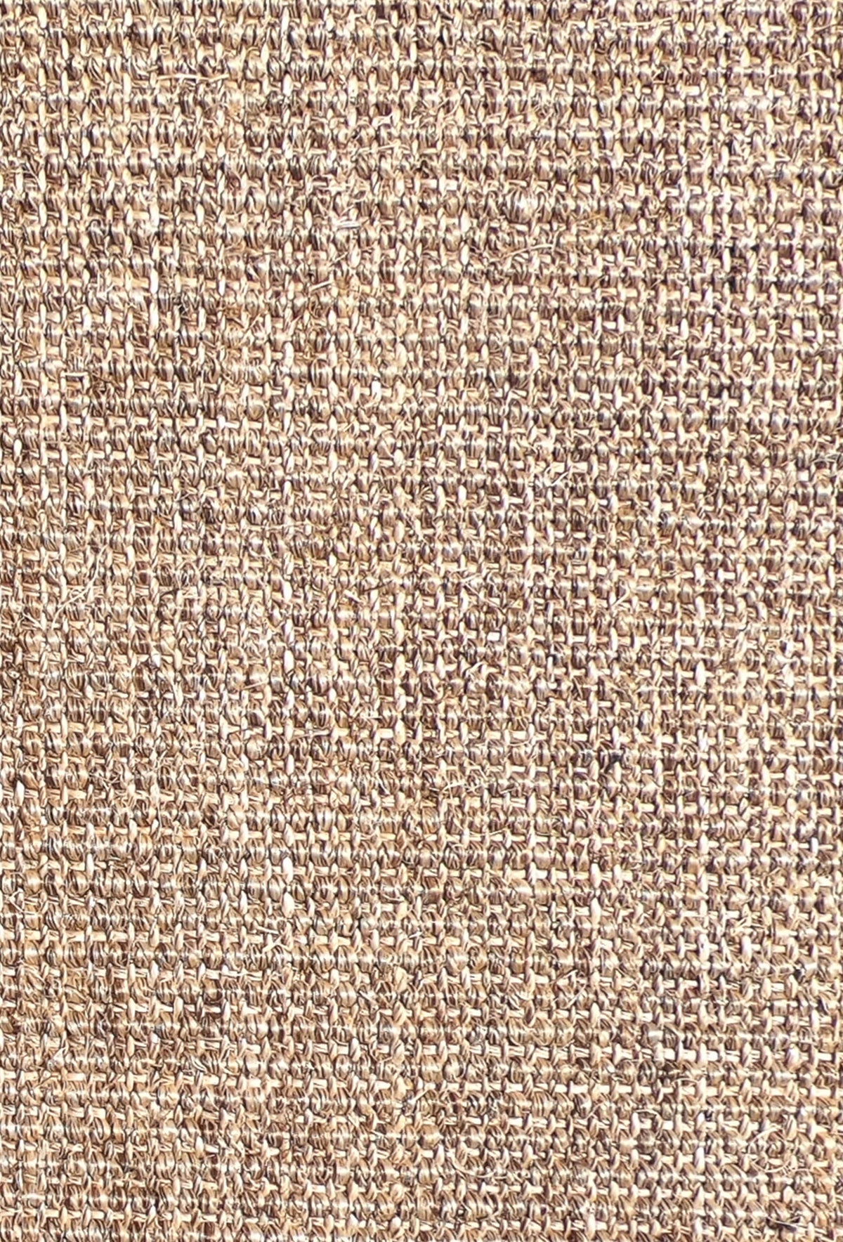 Alfombra Sisal Amazonas con borde 0016