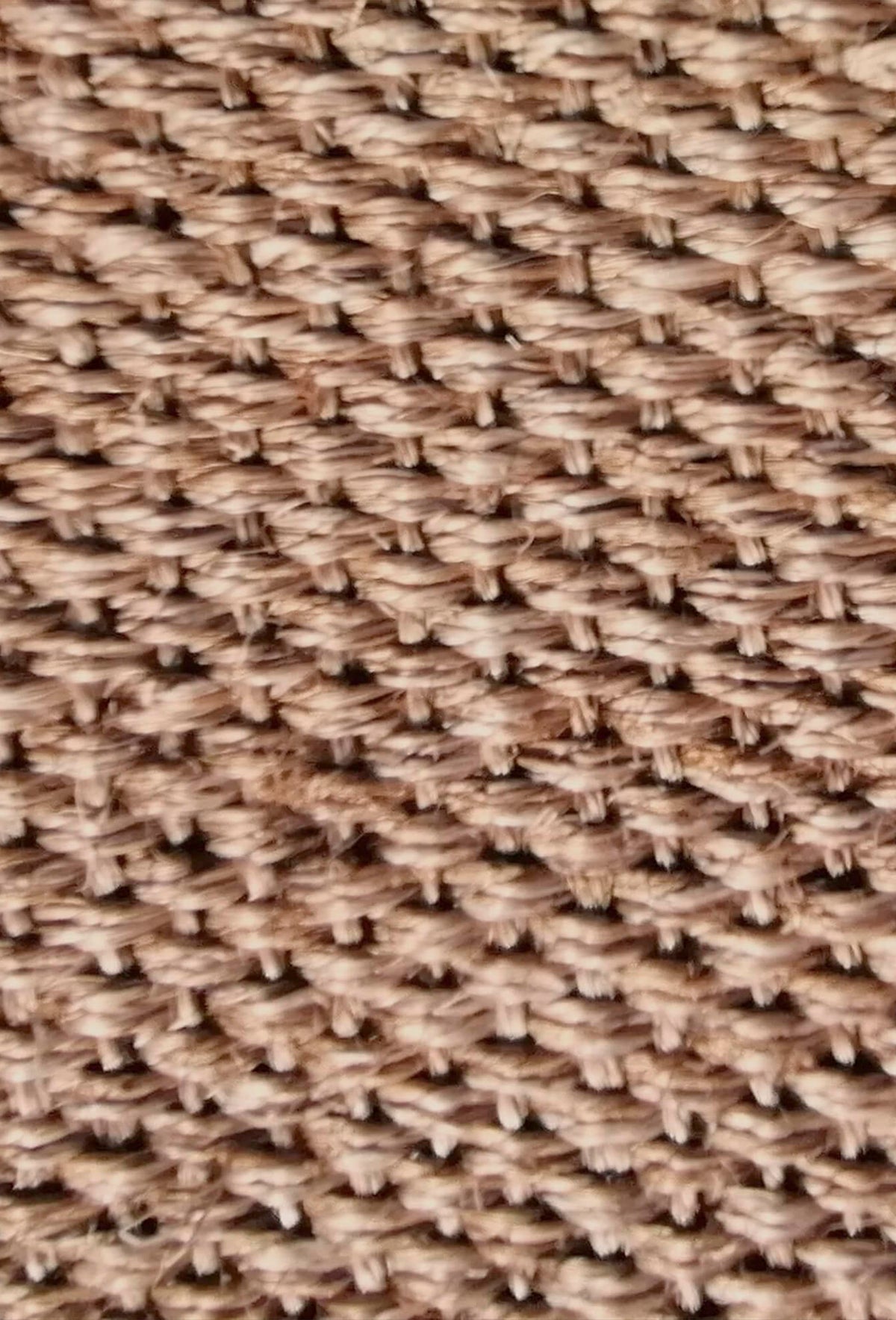 Alfombra Sisal, Amazona con borde 0021