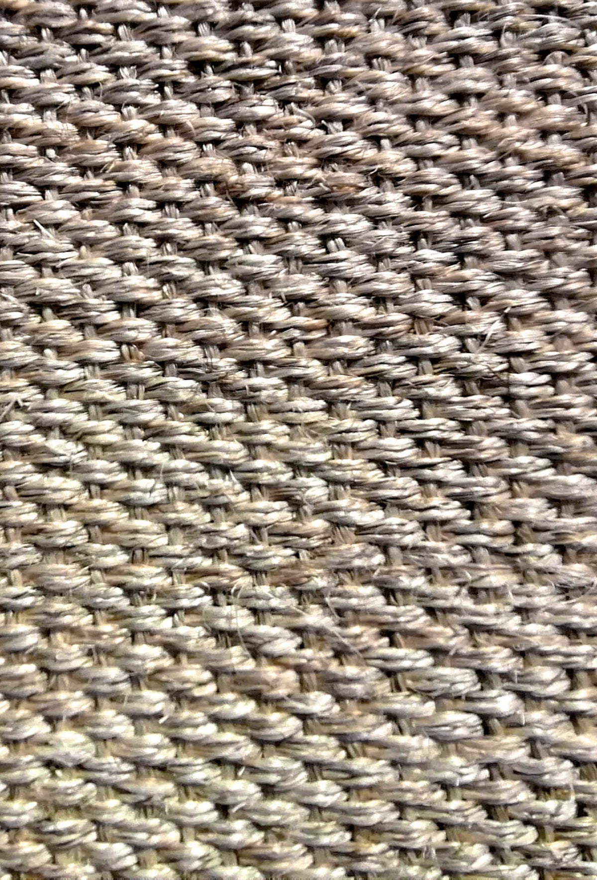 Alfombra Sisal, Amazona con borde 0024