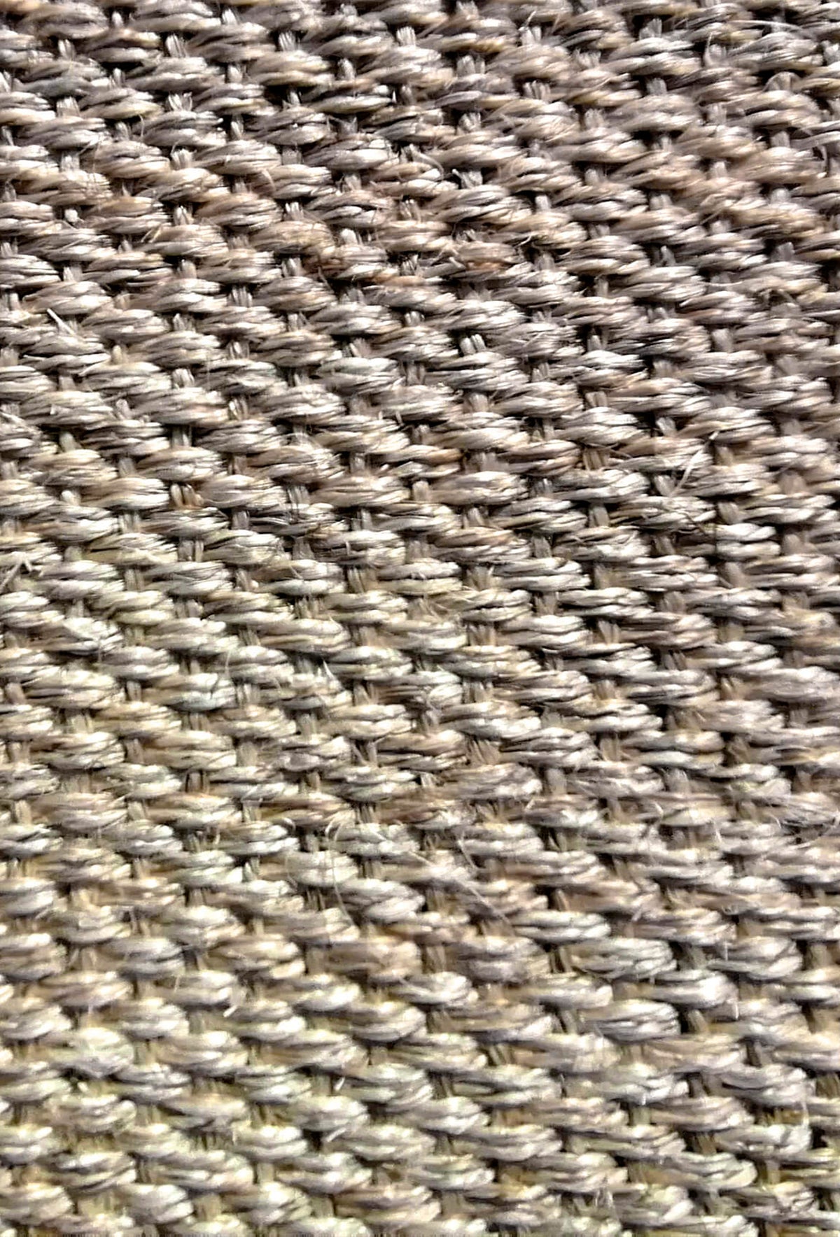 Alfombra Sisal Amazonas con borde 0024