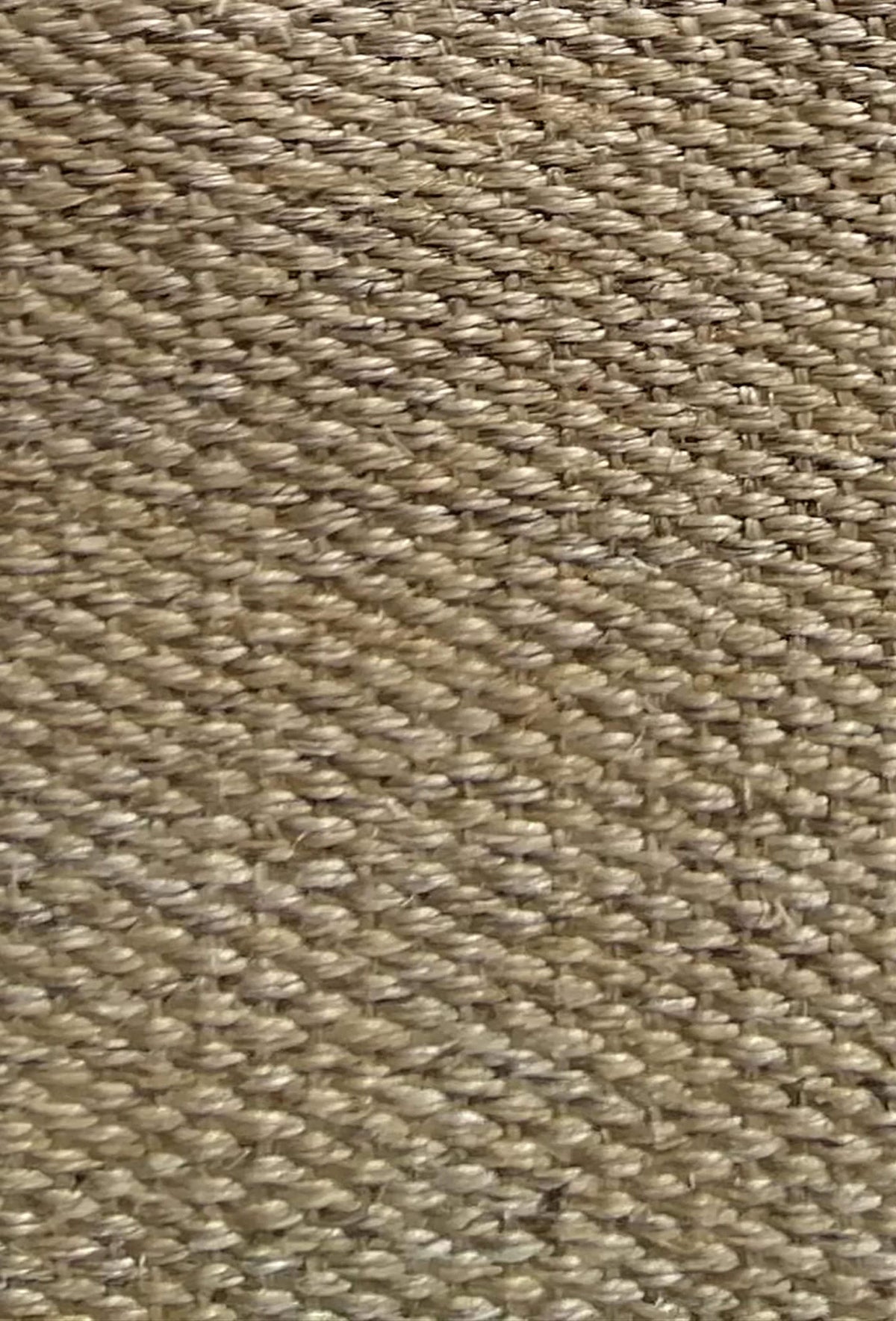 Alfombra Sisal Amazonas con borde 0022