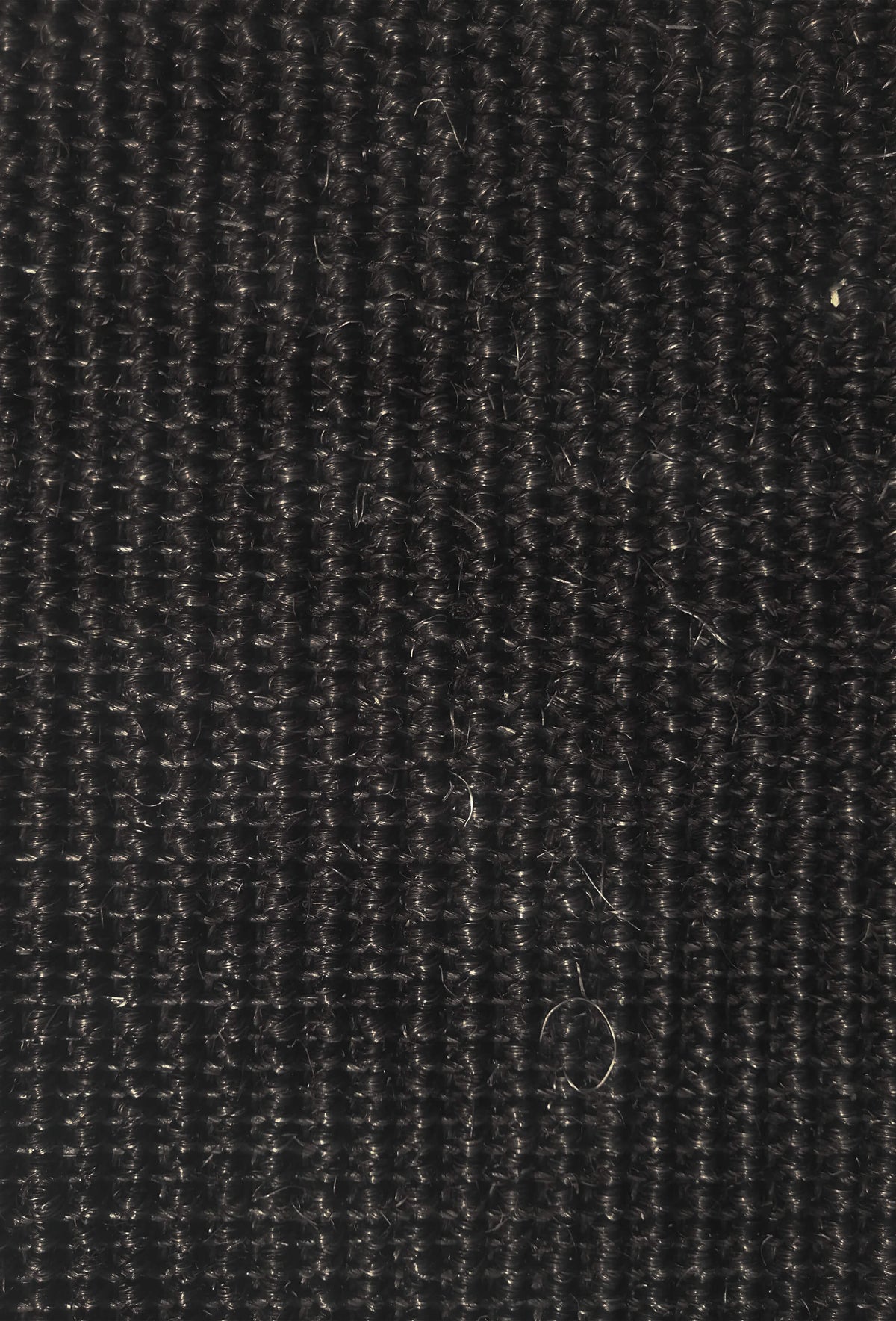 Alfombra Sisal Amazonas con borde 0017