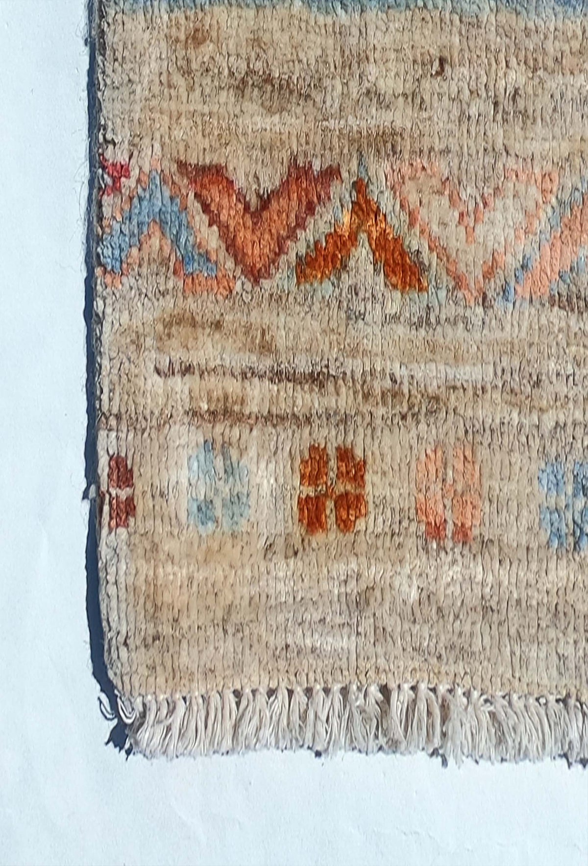 Alfombra Persa lana, Ariana Jaipur 3.00 x 2.60 mts. 001