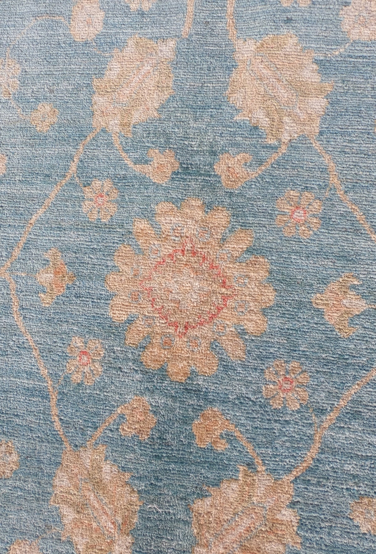 Detalle del marco y patrón floral en alfombra persa de lana hecha a mano