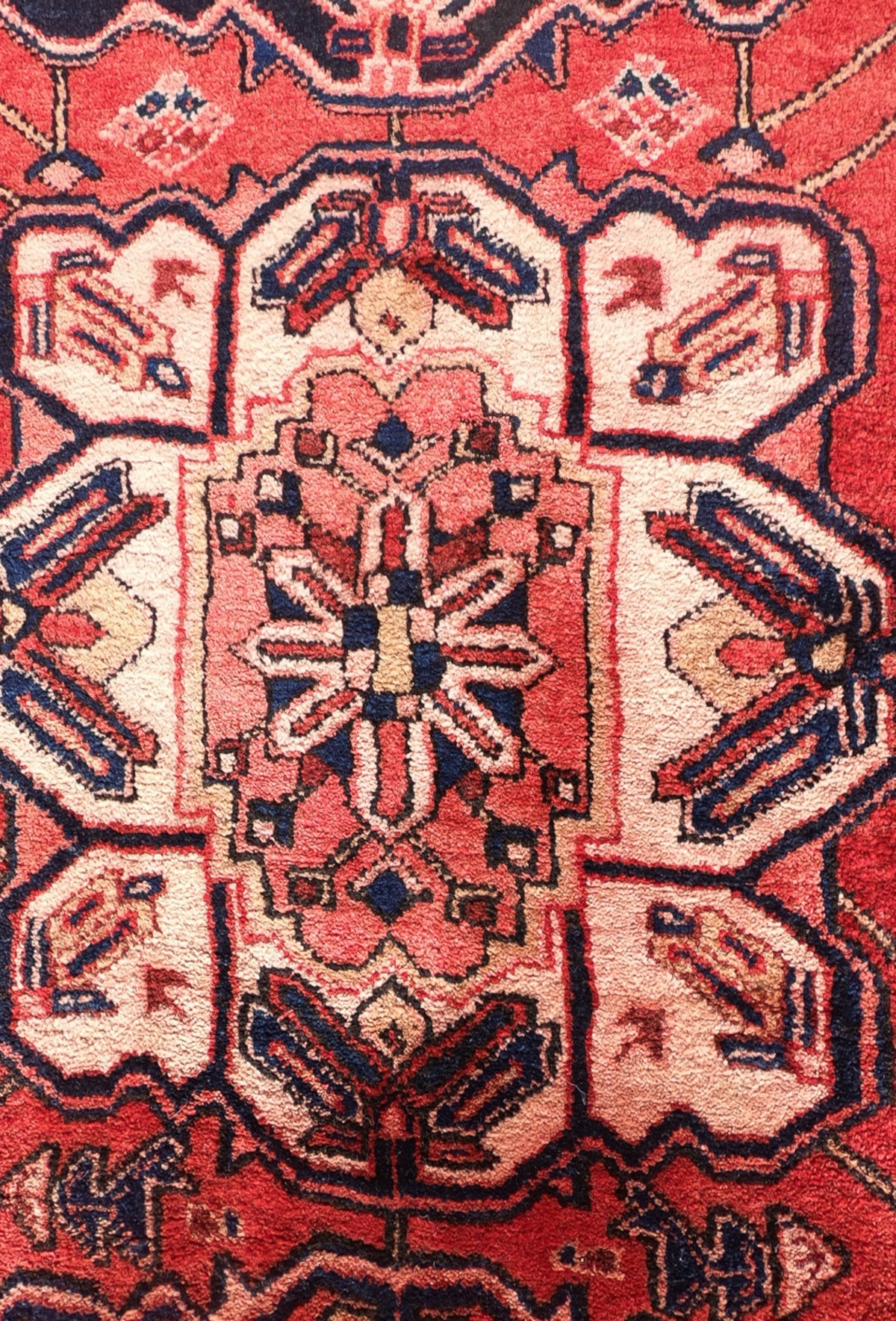 Detalle de diseño floral y medallón en alfombra persa de lana roja y azul