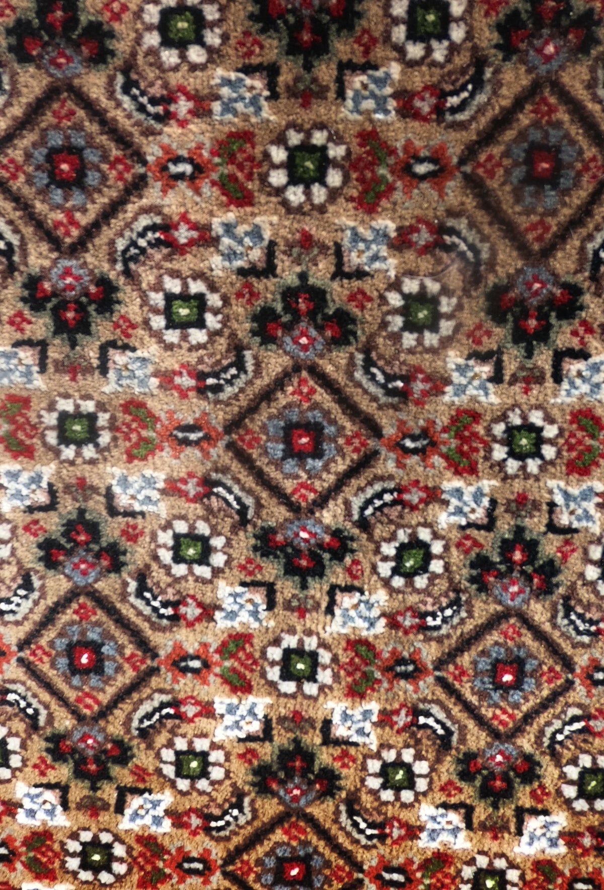 Detalle de diseño intrincado en alfombra persa importada de lana